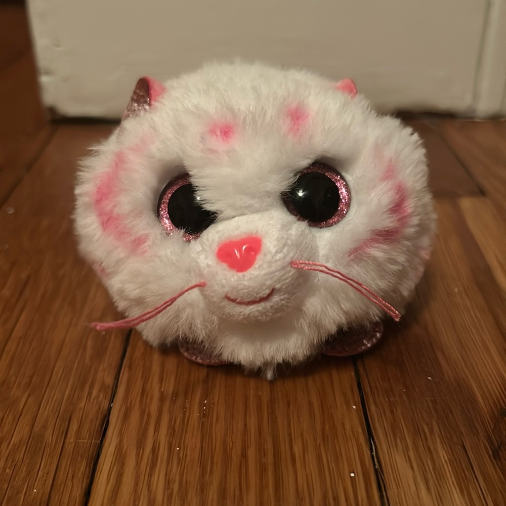 ty beanie boo set